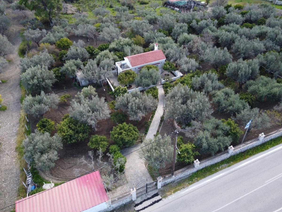 Villa Kavalino Kolymbia Esterno foto