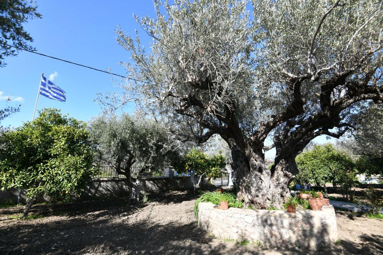Villa Kavalino Kolymbia Esterno foto